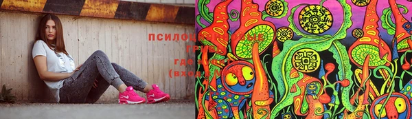 стафф Тайга