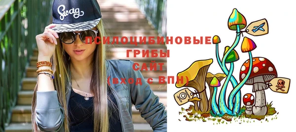 MDMA Бородино